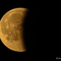IMG 4900-1