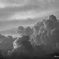 IMG 4942-1