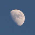 IMG 7191
