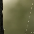 IMG 8314-1